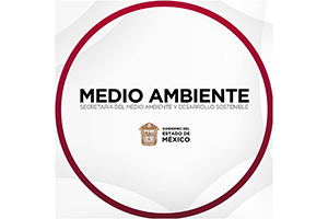 almar_0005_435589573_814410187379693_5175636322738521344_n
