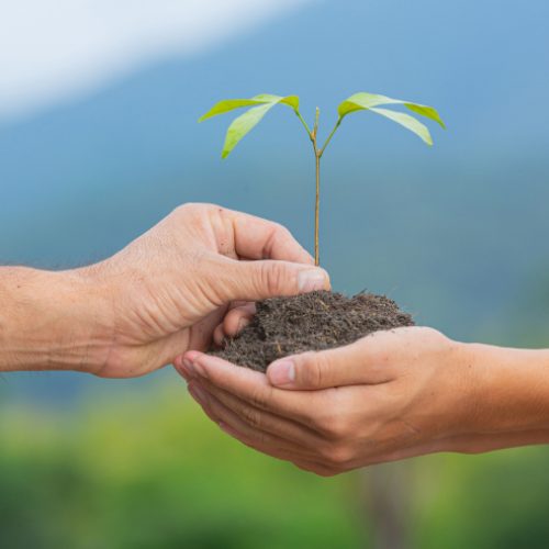 consultoria-ambiental consultoria-ambiental